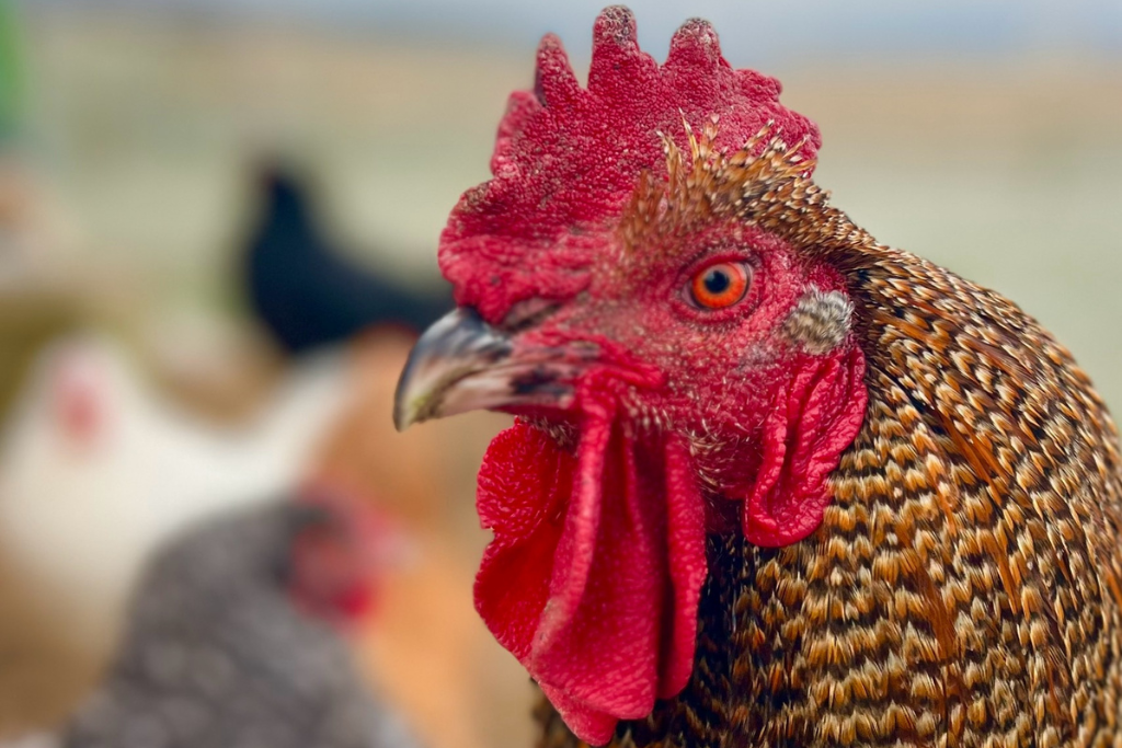 We walk the talk... Our main actions